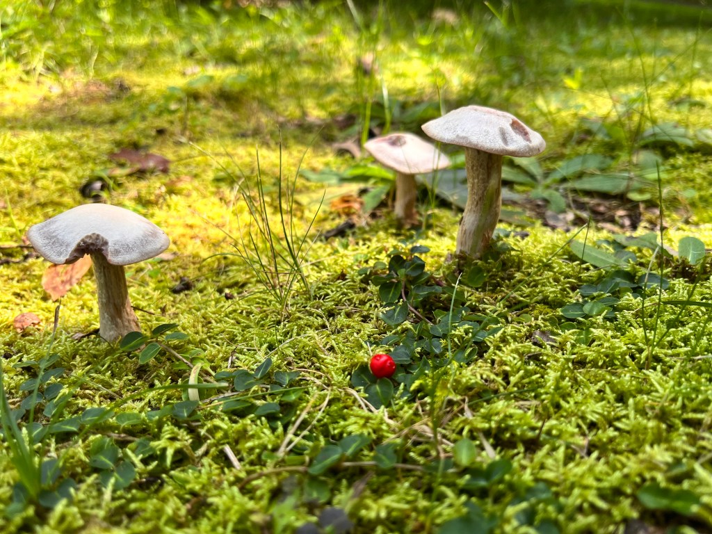 Queering Energy, letting it be what it is