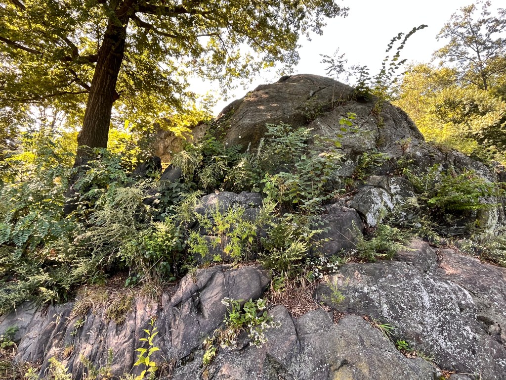 Energy Movement through Time: Part&nbsp;1