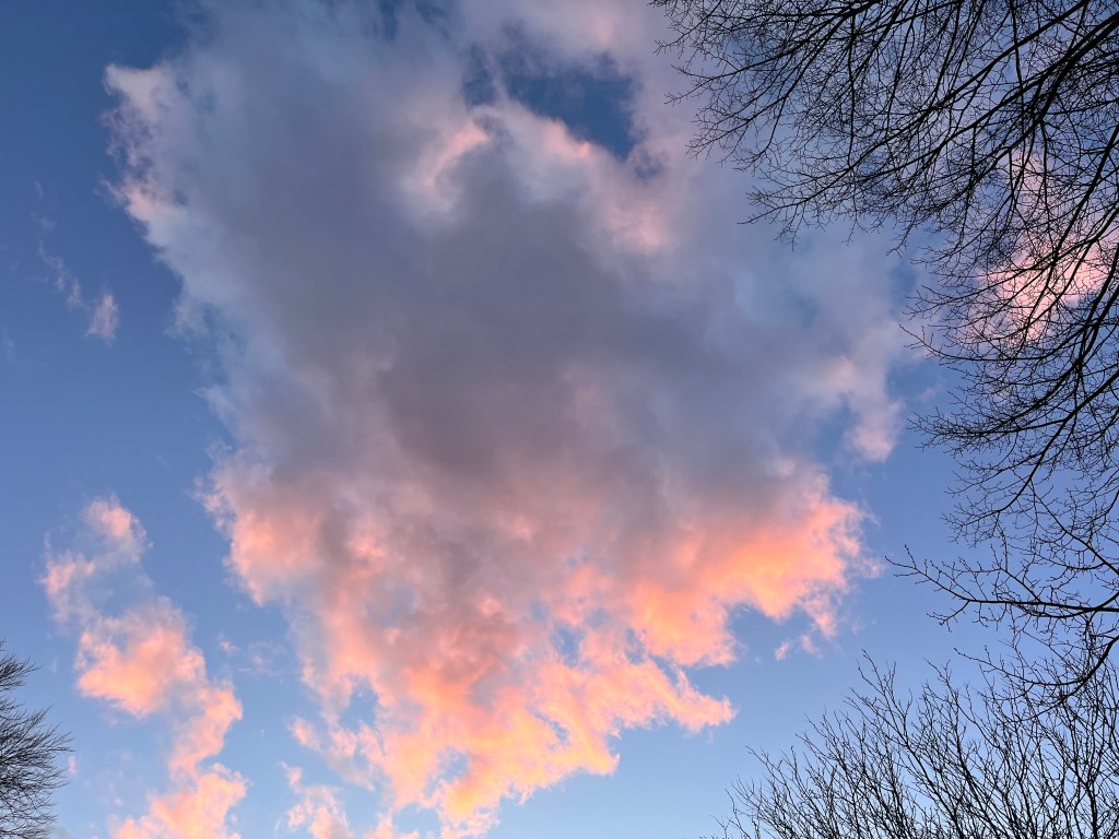 Held in a state of suspension (and&nbsp;tension)