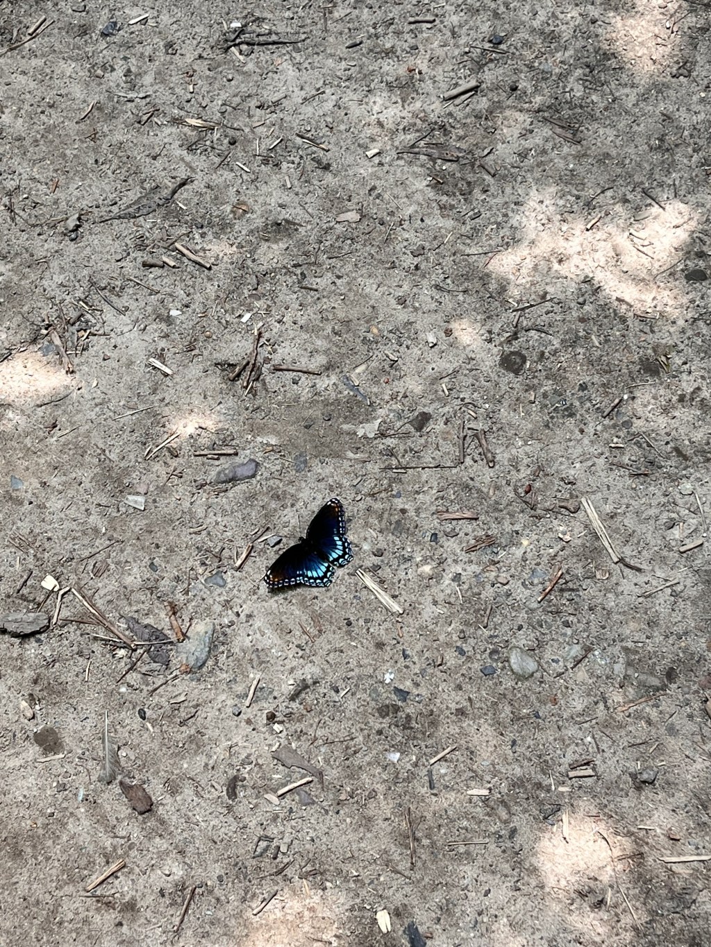 Landscape of a&nbsp;dream