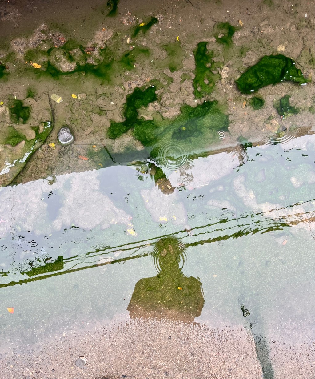 Preparation | Catharsis |&nbsp;Integration